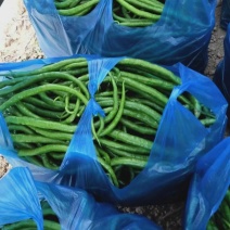 随行就市电议新鲜青线椒二荆条线椒新鲜二荆条一手货源直供