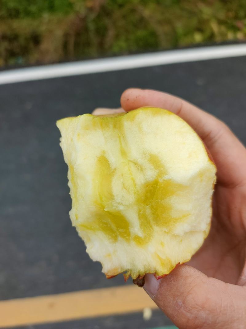 糖心苹果，汉源高山红富士，电商果，商品果，基地直发