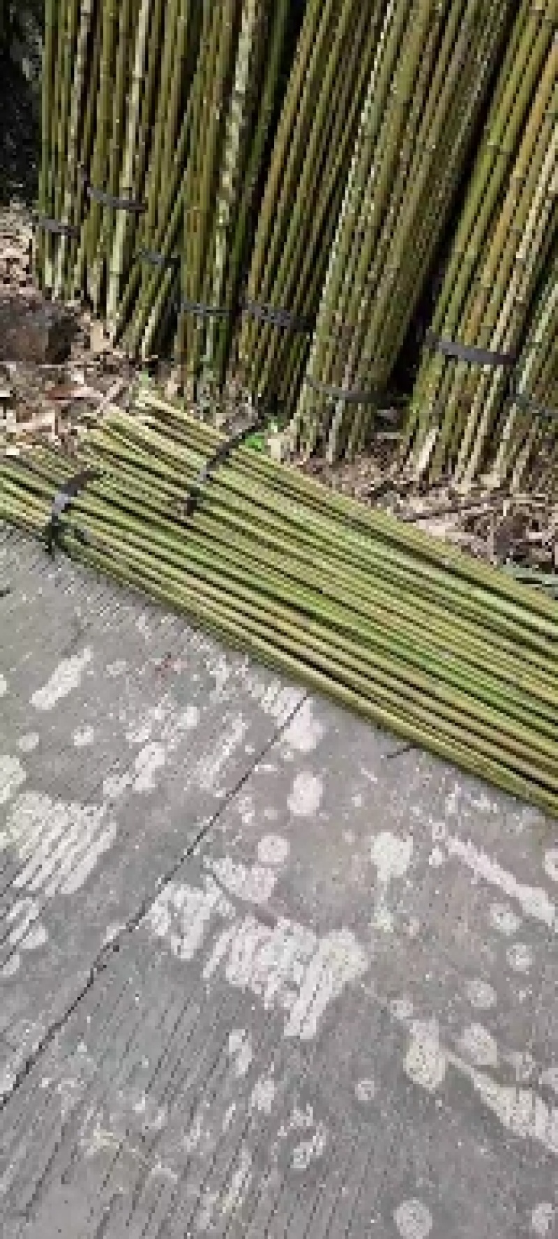 量大，有想法的欢迎砸单，，，，，，，，，，，