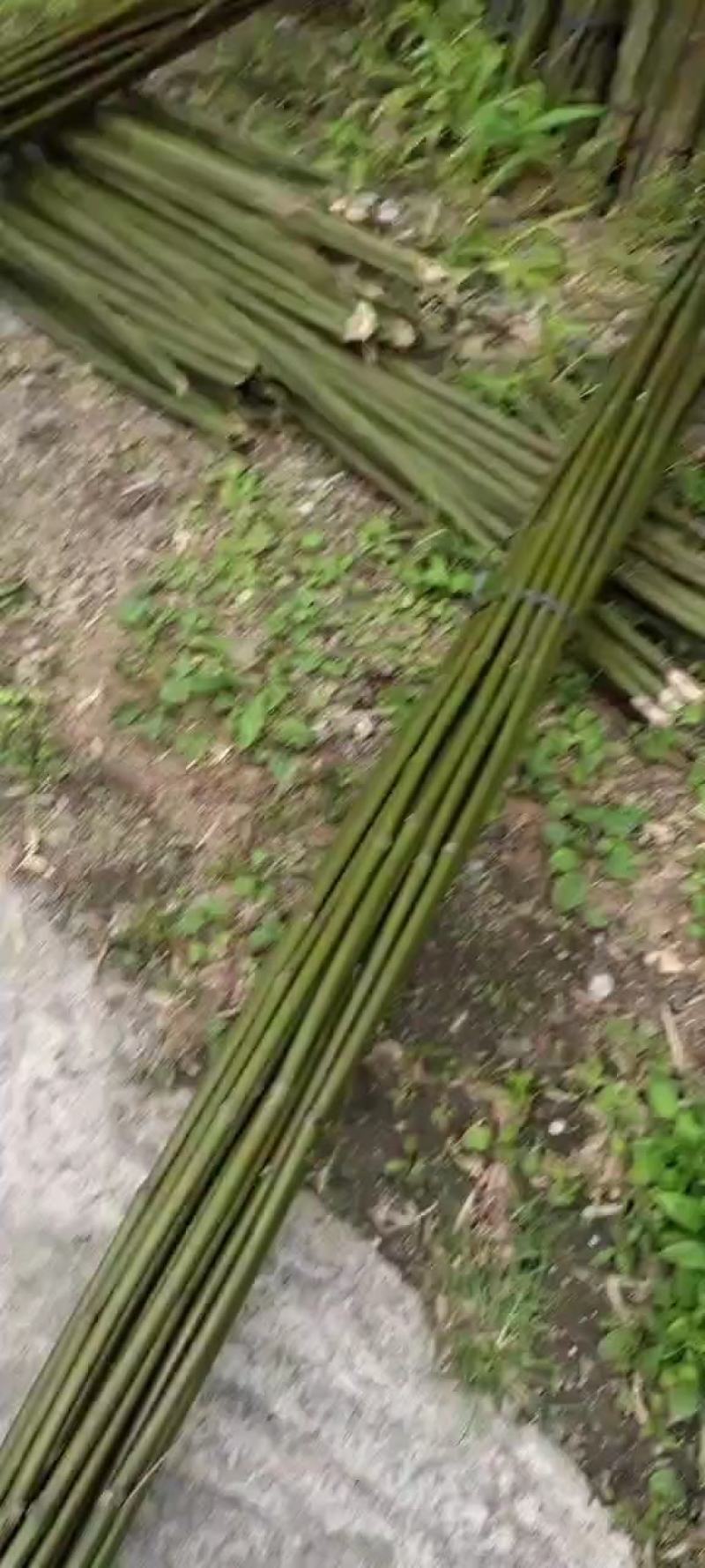 金秀靓货，只要你开口，没有做不到的，，，
