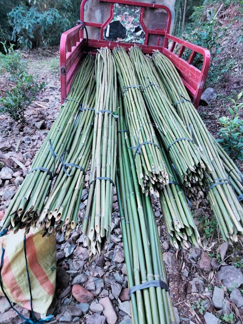 金秀一手货源，各种类型竹子，规格你来订::