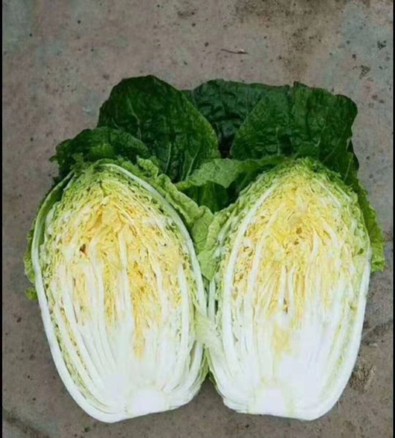 精品娃娃菜