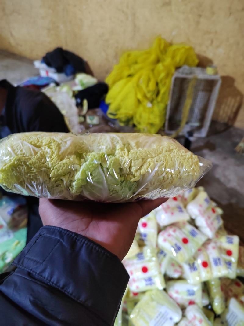 河北邯郸精品娃娃菜，质量保证，货源充足，诚信代办。
