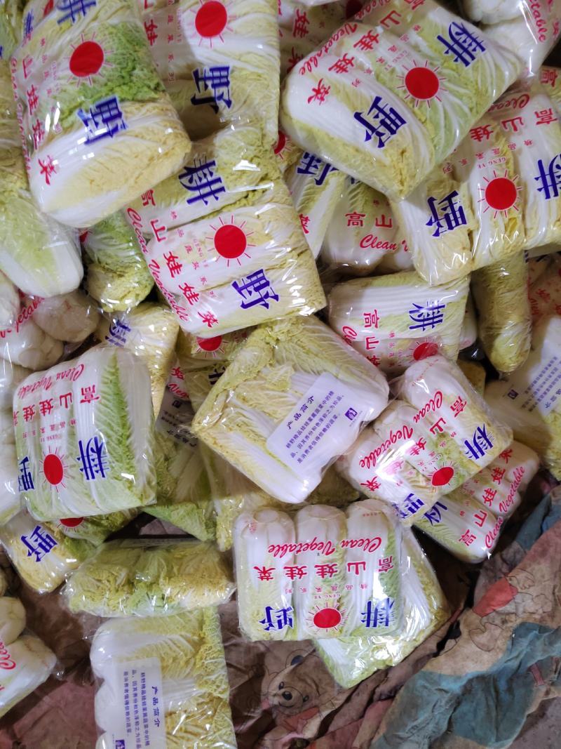 河北邯郸精品娃娃菜，质量保证，货源充足，诚信代办。