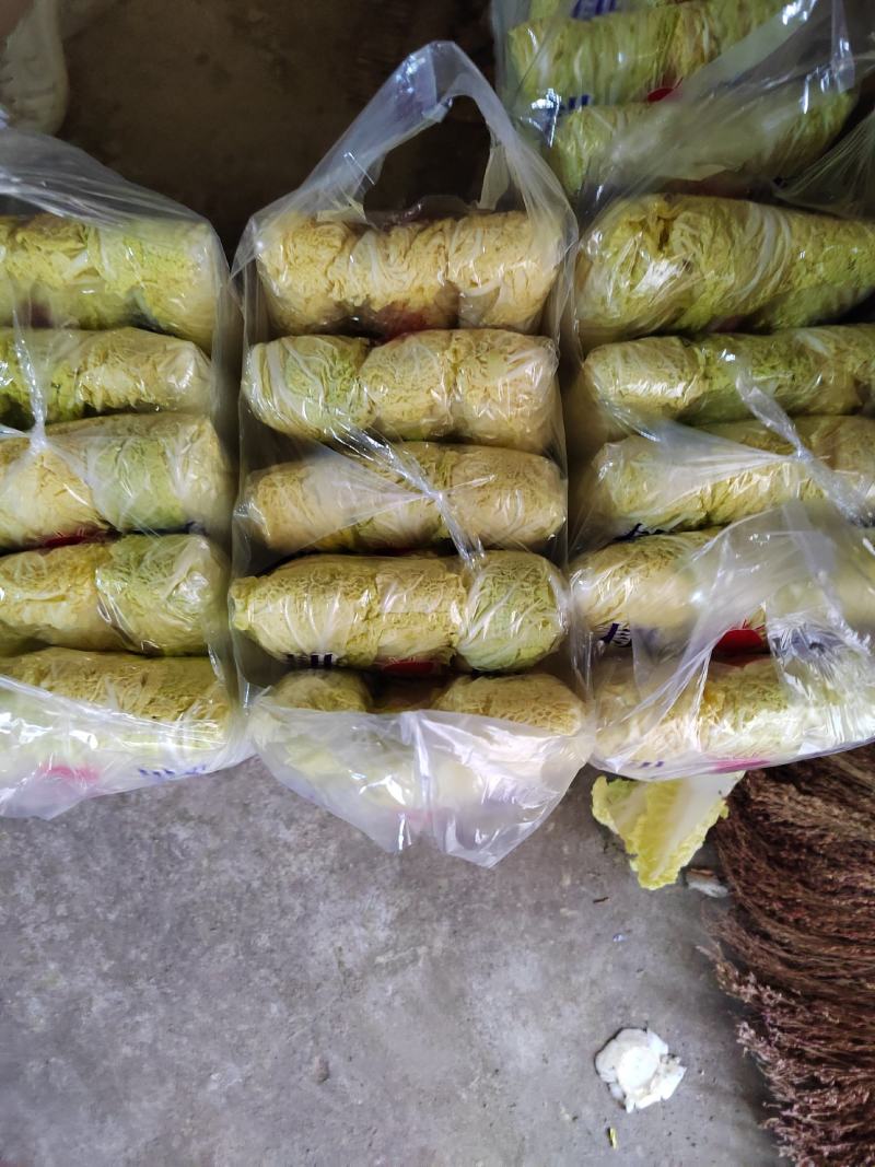 河北邯郸精品娃娃菜，质量保证，货源充足，诚信代办。
