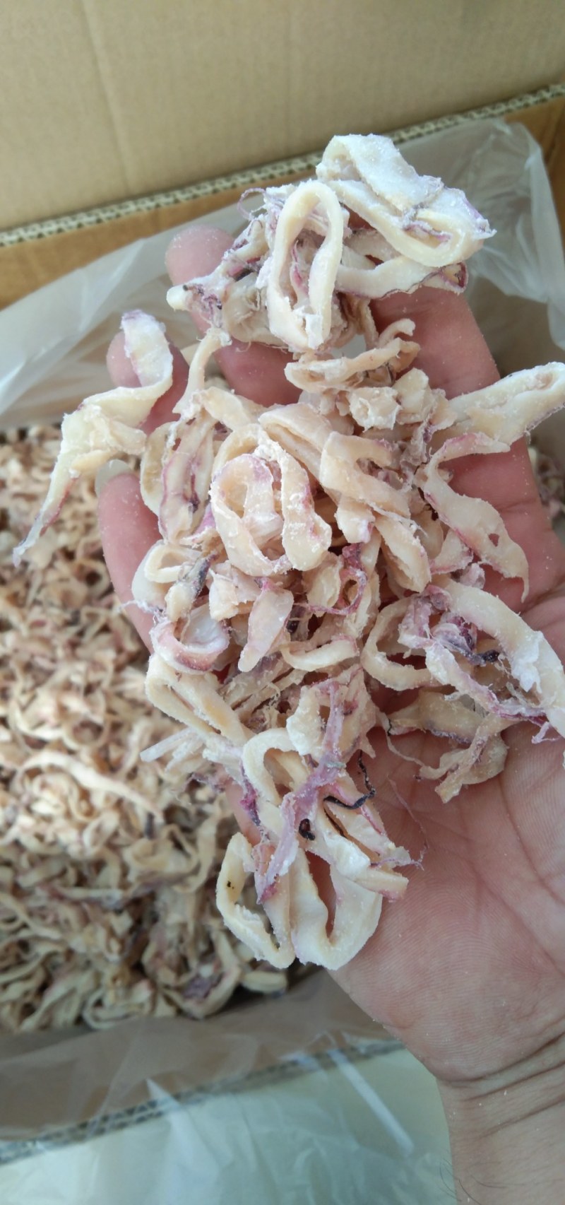 鱿鱼口边！边料！新鲜脆口！干度好！无杂质！跑江湖赶集电商