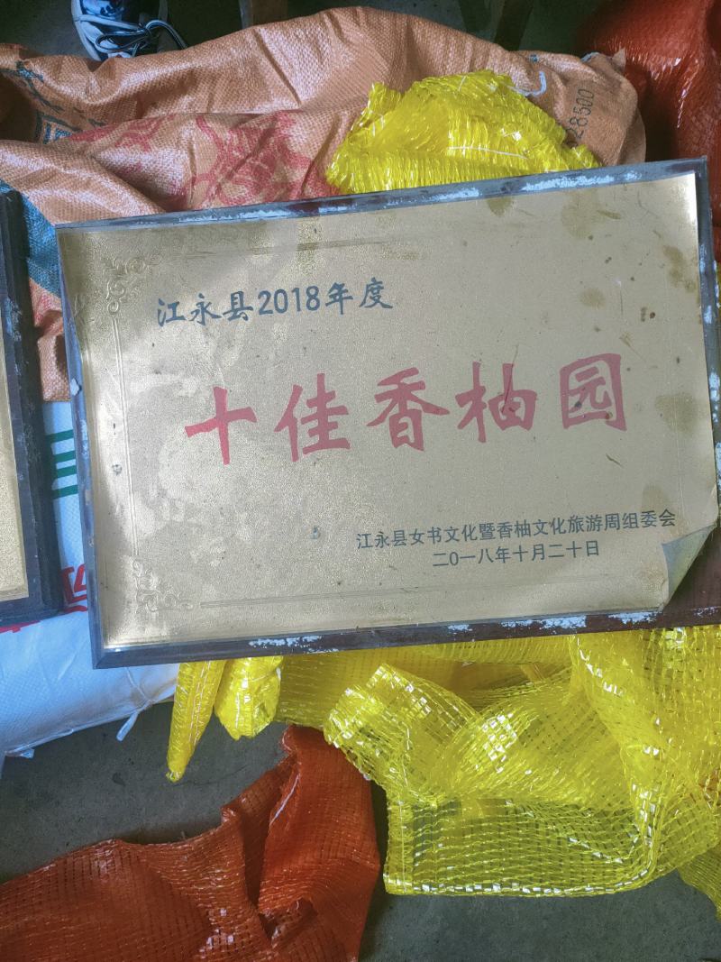 高山老树！正宗江永老树香柚，皮超薄，口感好，个头均匀