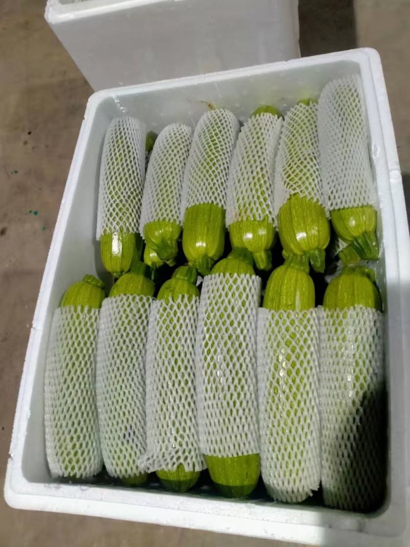 精品西葫芦，货源充足，价格实惠，欢迎客商进店选购！