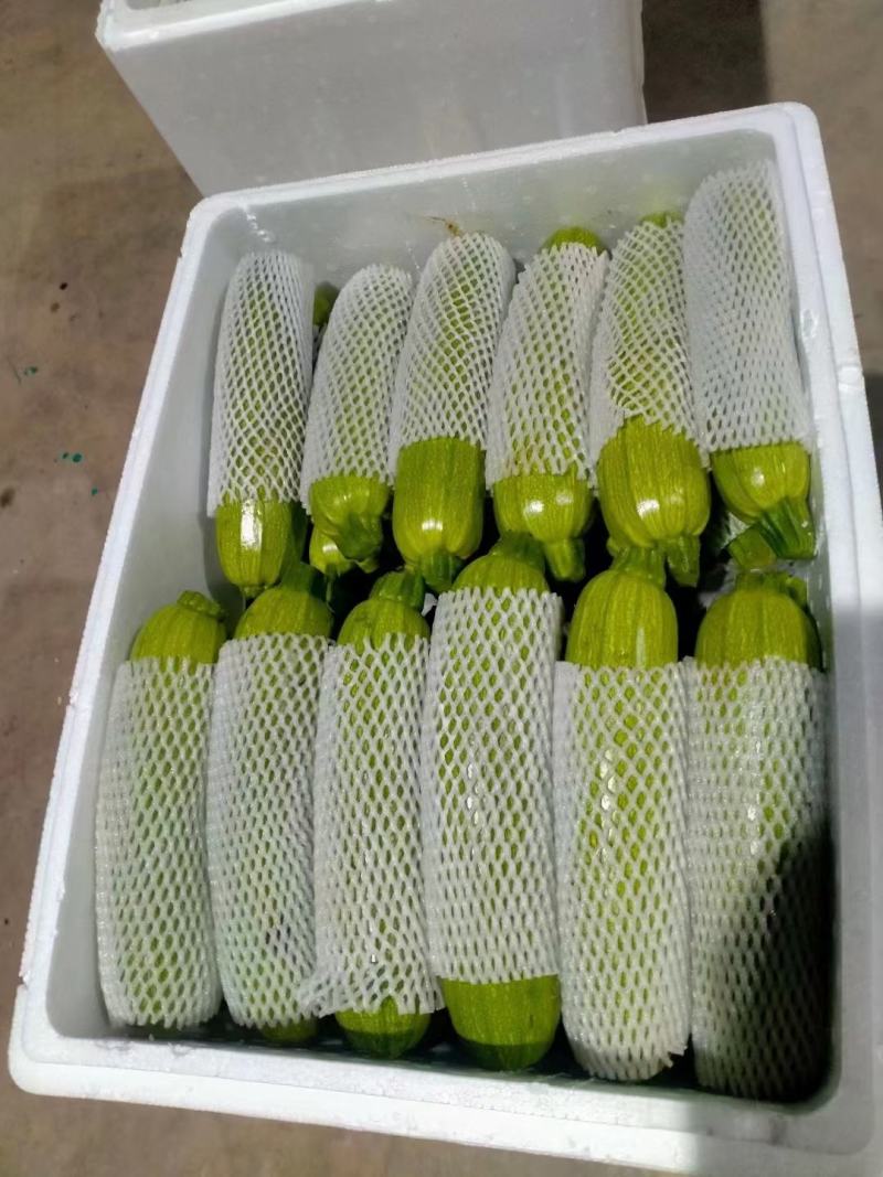 精品西葫芦，货源充足，价格实惠，欢迎客商进店选购！