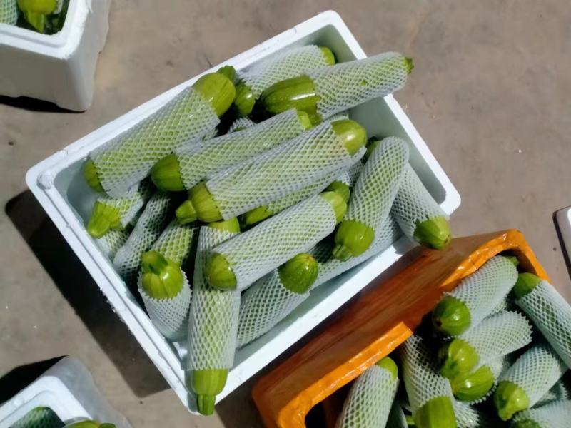 精品西葫芦，货源充足，价格实惠，欢迎客商进店选购！