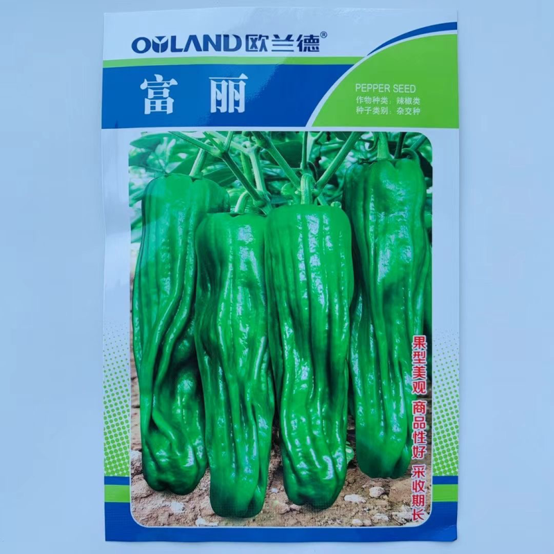欧兰德富丽薄皮椒种子品种杂交一代早中熟品种种子