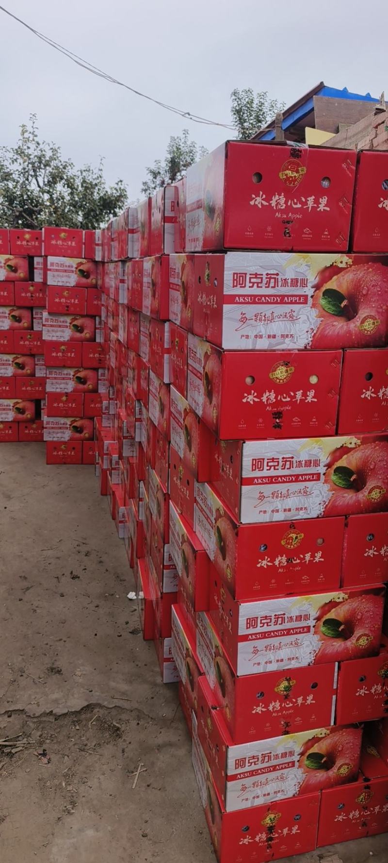 阿克苏红旗坡苹果