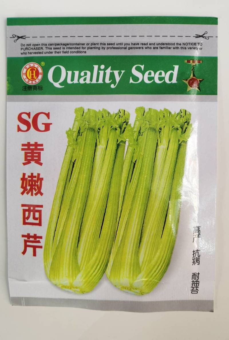 黄嫩西芹种子黄绿油亮耐抽苔春秋四季耐热耐寒大芹菜种子