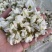 精品槐花洋槐花产地直供一手货源槐花诚信经营