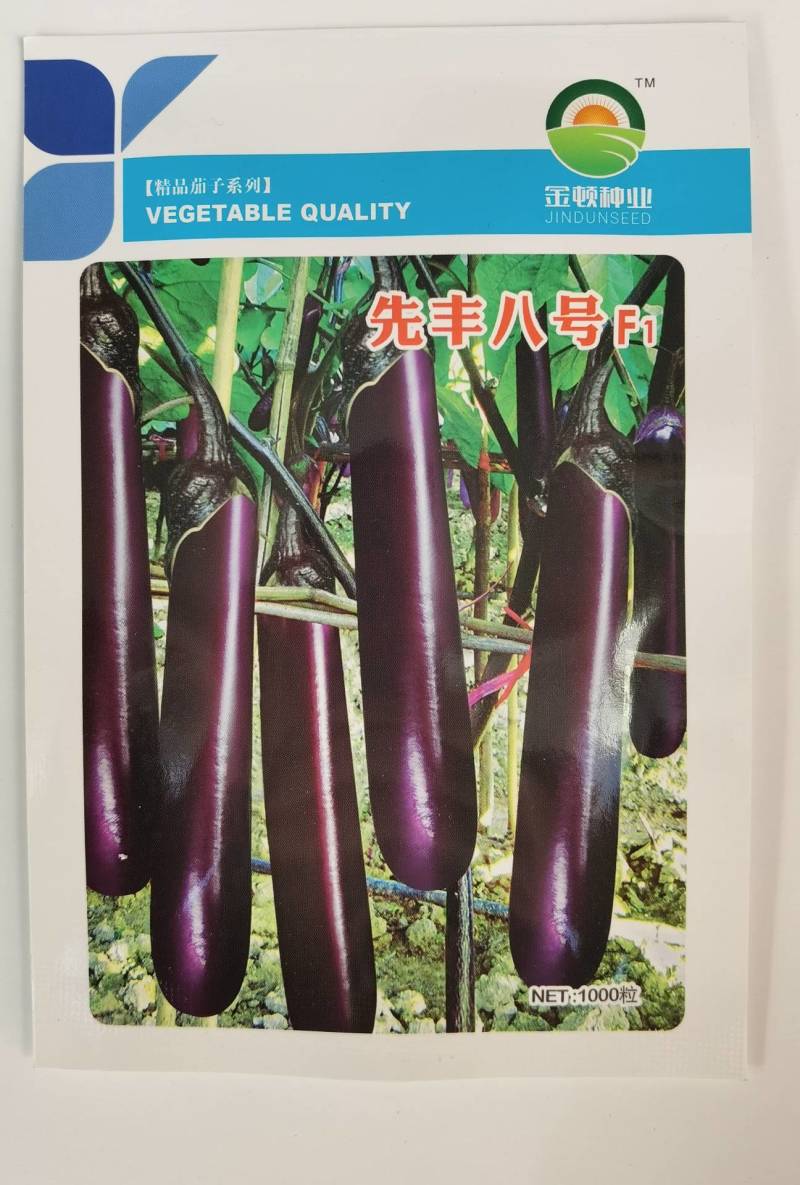 先锋八号紫长茄种子高产深紫红色光亮粗长茄子种子