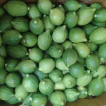 香水柠檬