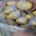 滕州冷库土豆货源充足质量保证需要来的联系