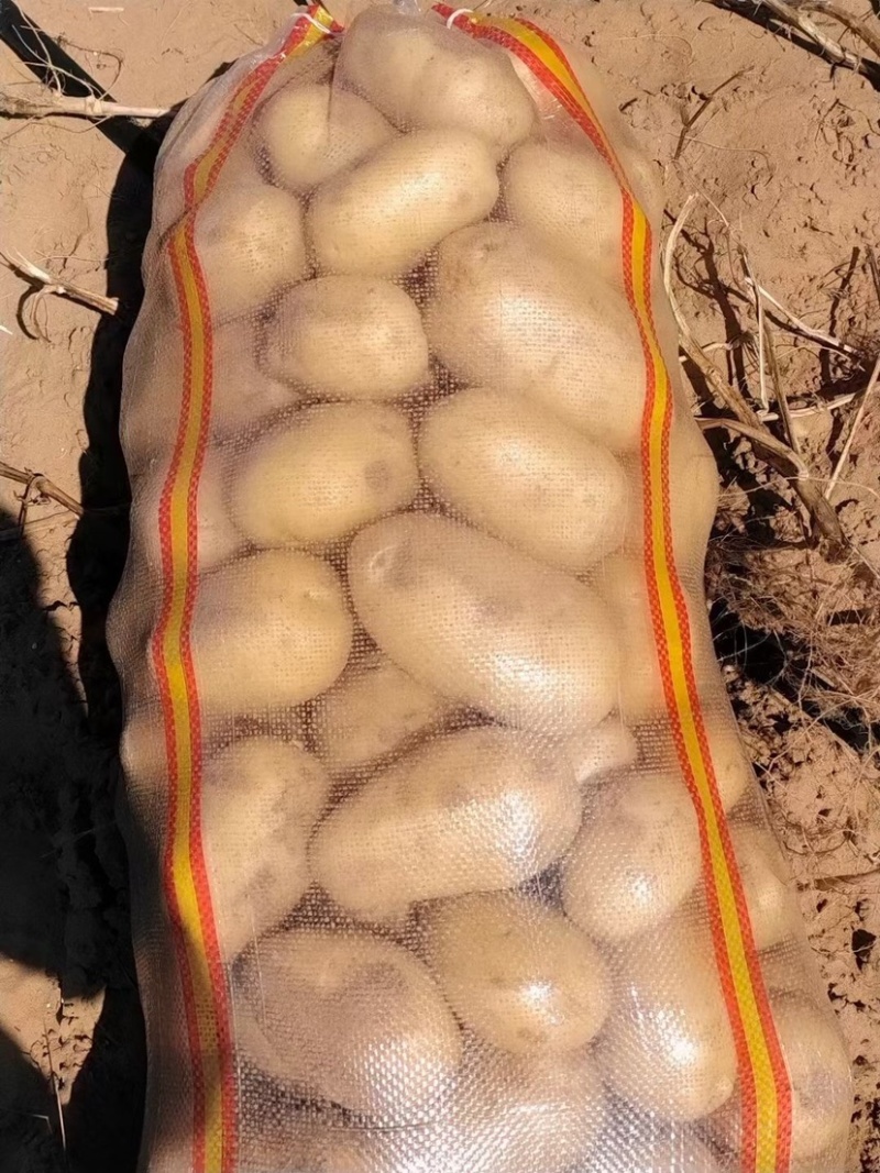 大量V7现货出售