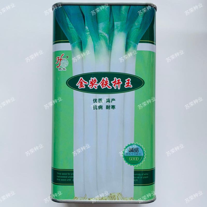 金奖铁杆王大葱种子高产抗病抗倒伏抗热抗庭院大田四季播大葱