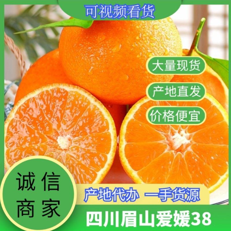 四川眉山爱媛橙爱媛38果冻橙货源充足产地直发