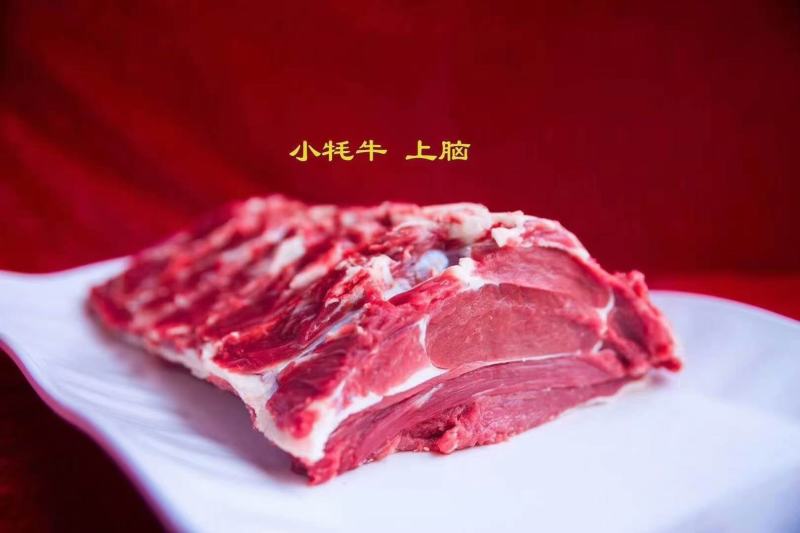 青藏高原纯草膘黑牦牛肉货真价实，假一赔万