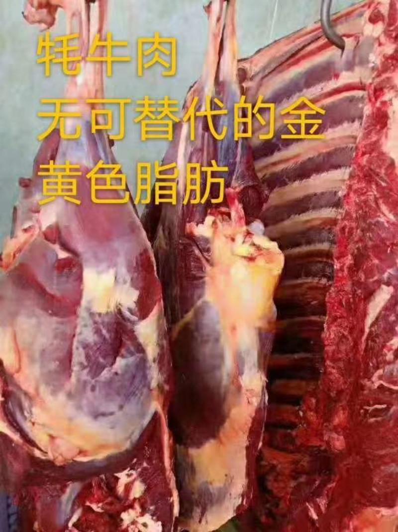 青藏高原纯草膘黑牦牛肉货真价实，假一赔万