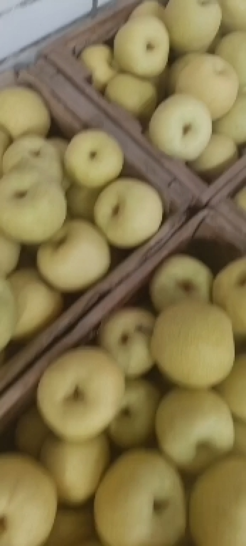 梨