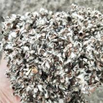 棉籽壳食用菌蘑菇香菇培育原料