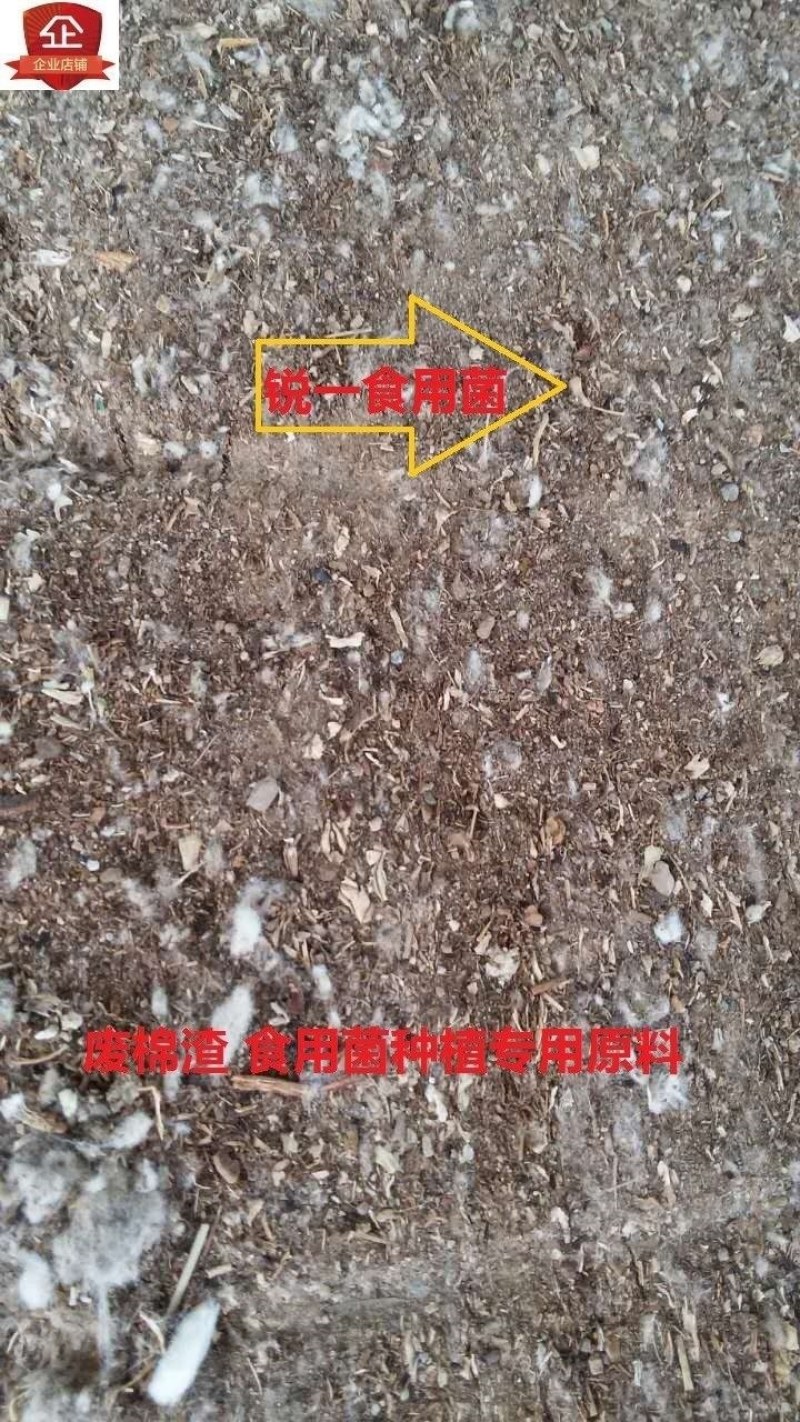 棉渣培育食用菌蘑菇香菇原材料