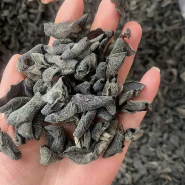 干木耳小木耳批发