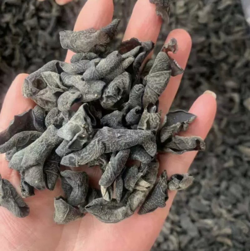 干木耳小木耳批发