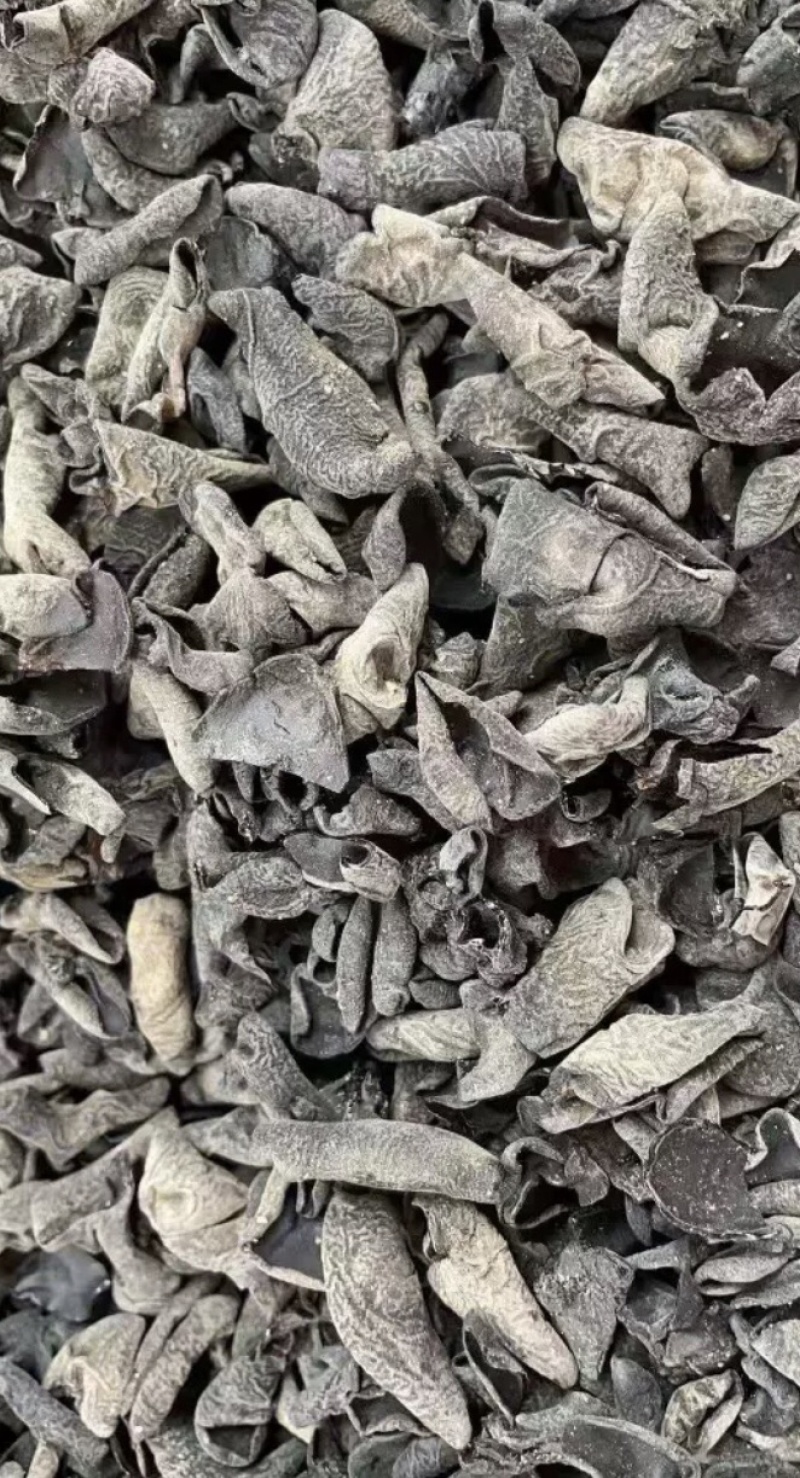 干木耳小木耳批发