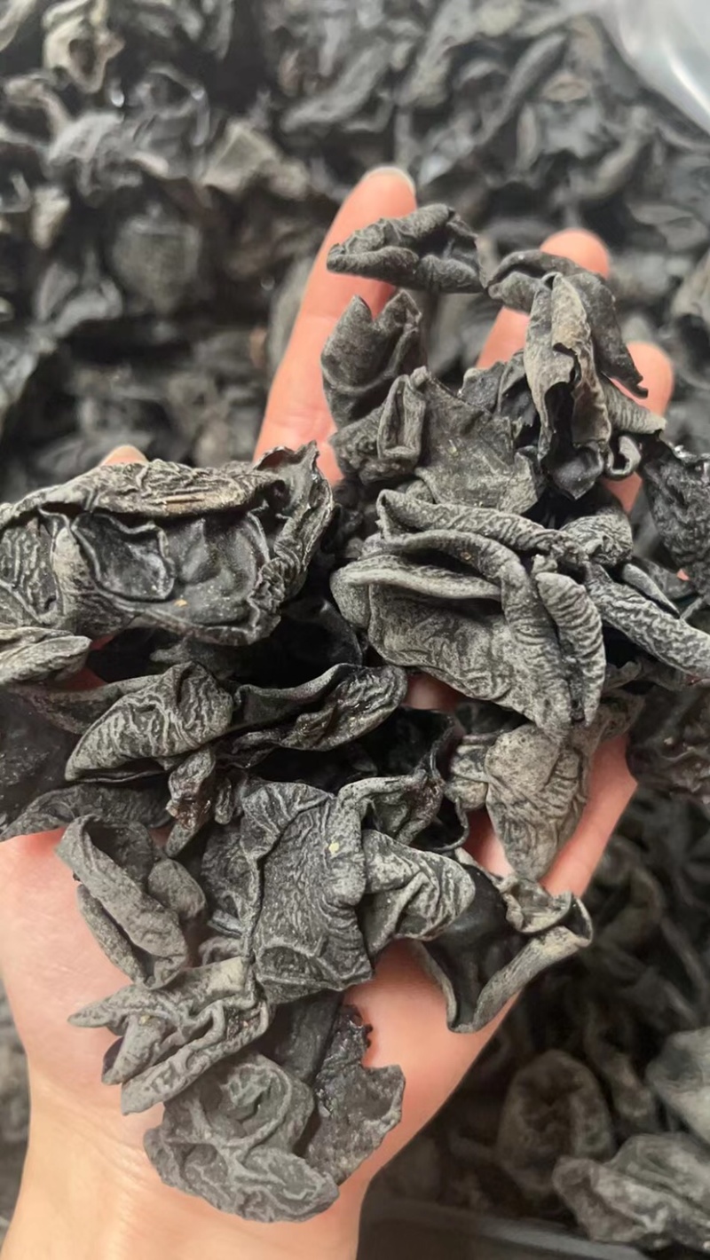 干木耳小木耳批发
