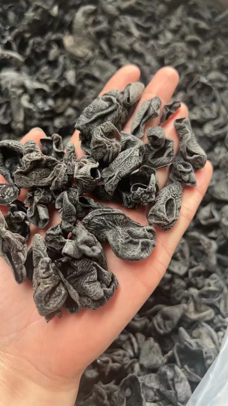 干木耳小木耳批发