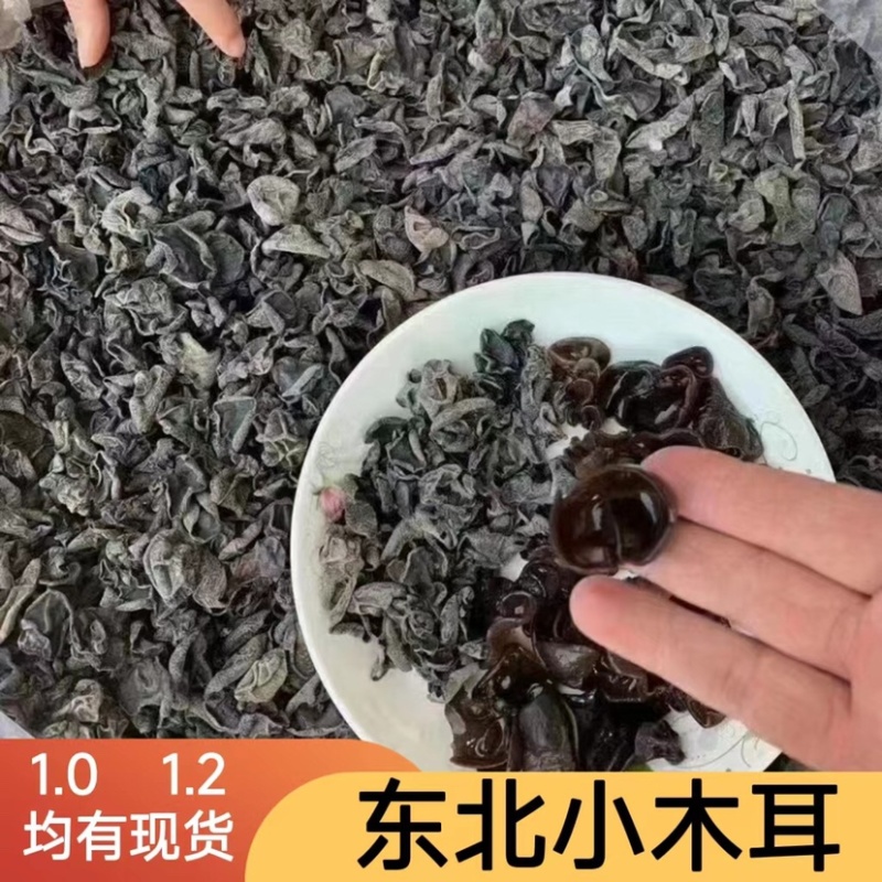 干木耳小木耳批发