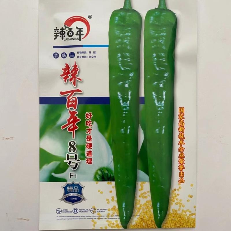 苏润辣百年牛角椒种子品种杂交一代早熟品种种子