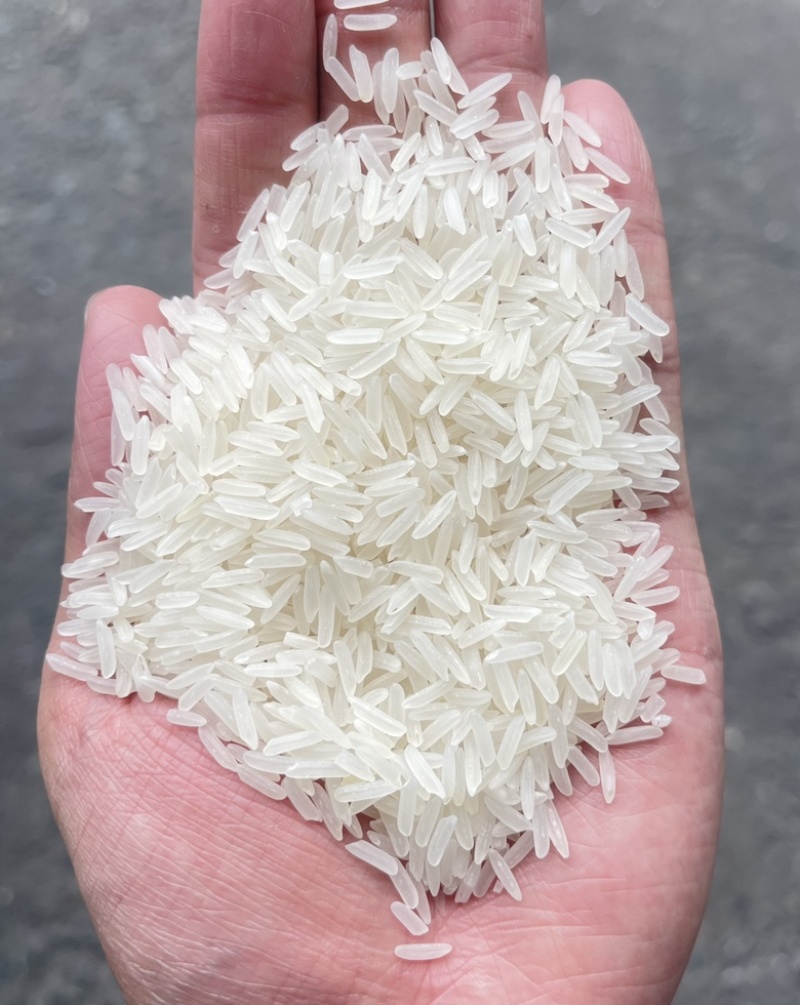 25kg中粮柬埔寨香米，新米上市啦