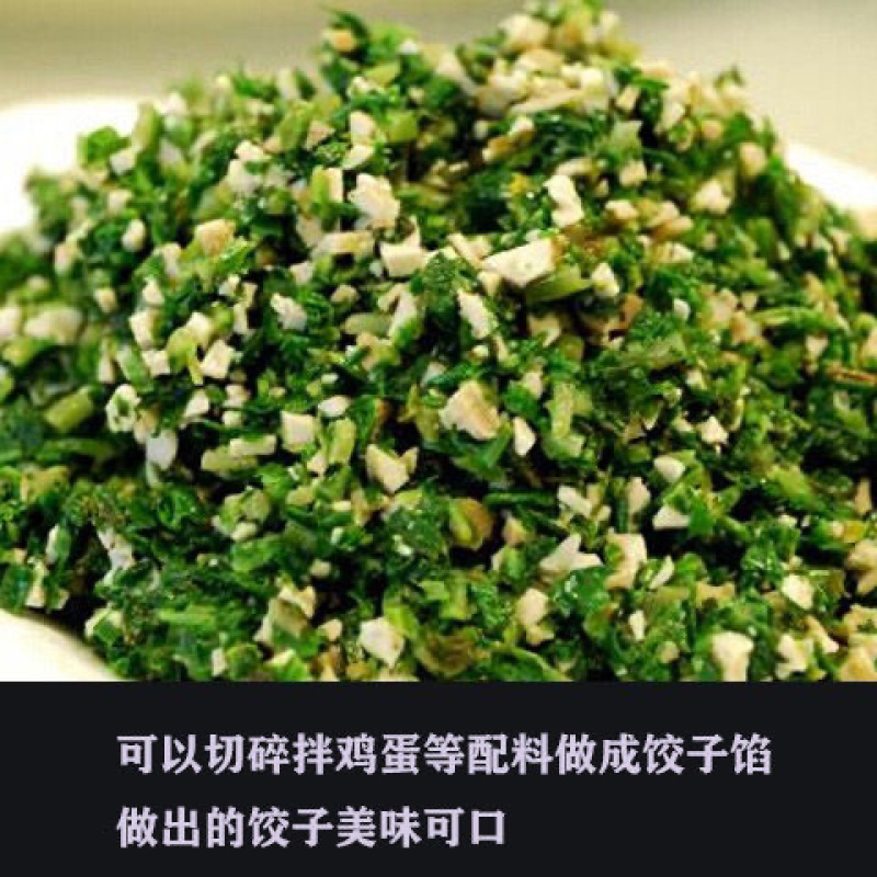 大叶马兰头路边菊马兰现挖红梗马兰头带根种苗