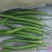 夏邑301辣椒大量上市产地直发质量保证货源充足全国发货