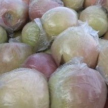冠县红富士苹果大量现货产地直供质量保证量大优惠