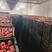 10万斤海棠果出售，适合罐头，果干，商品，欢迎订购