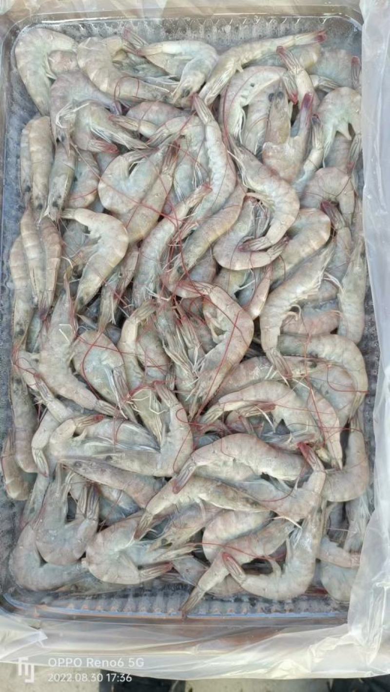 大虾