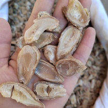 郁金，广郁金，郁金片，货干无硫，产地一手货源大货批发