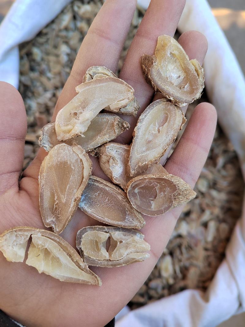 郁金，广郁金，郁金片，货干无硫，产地一手货源大货批发