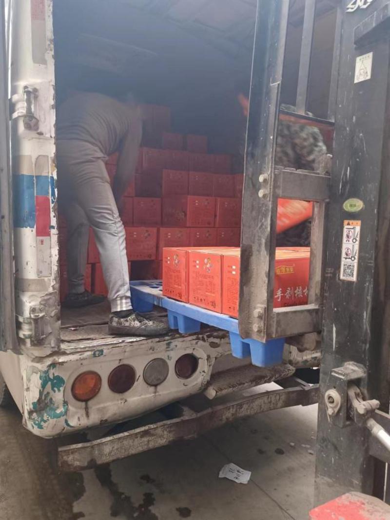 新疆红枣灰枣大量出售中可视频看货欢迎客商选购