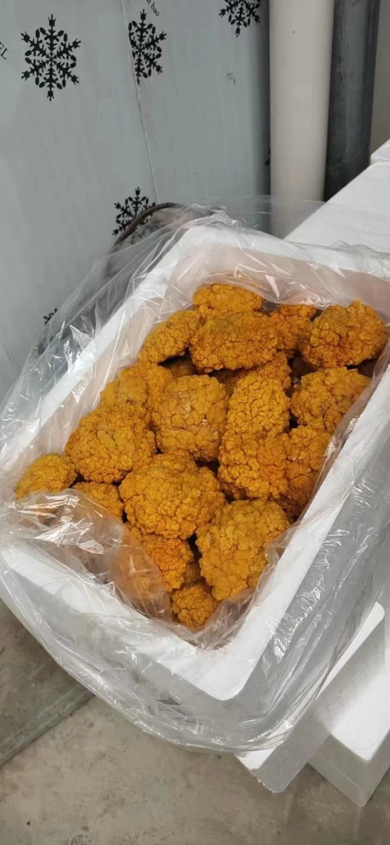 金耳菌