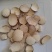 三棱三棱片，产地浙江，新货纯干，无碎末好统货