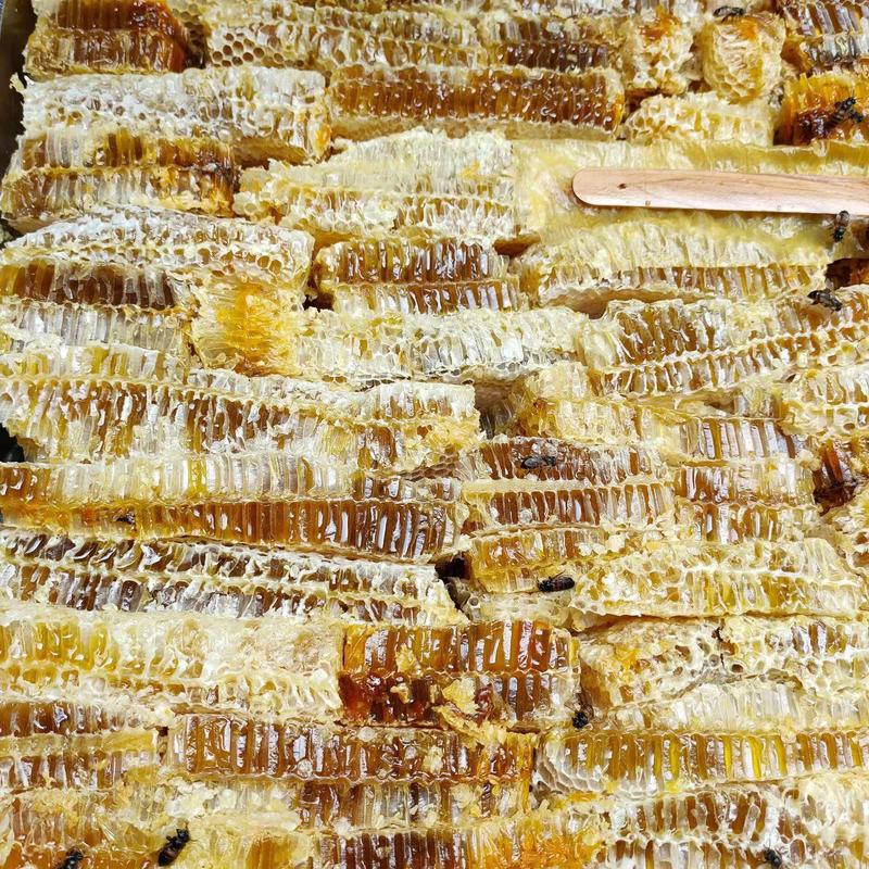 【蜂巢蜜】原生态自家养殖蜂蜜蜂巢蜜蜂场直供