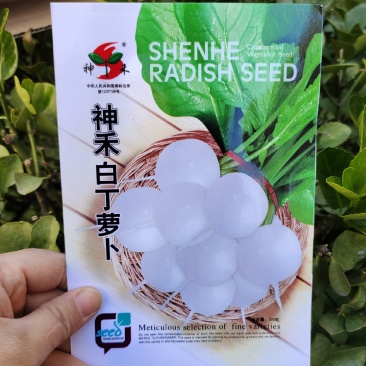 神禾白丁萝卜种子菜籽芜菁籽种四季小白樱桃水果萝卜种子