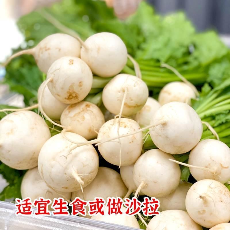 神禾白丁萝卜种子菜籽芜菁籽种四季小白樱桃水果萝卜种子